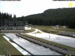 Archiv Foto Webcam Pokljuka: Blick ins Biathlonstadion 09:00