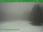 Archived image Webcam Ski piste at Knüllfeld 17:00