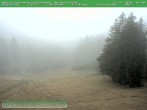 Archived image Webcam Ski piste at Knüllfeld 13:00