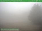 Archiv Foto Webcam Am Knüllfeld 08:00