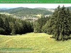 Archiv Foto Webcam Am Knüllfeld 11:00