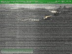 Archived image Webcam Ski piste at Knüllfeld 01:00