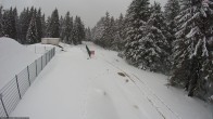 Archived image Webcam Cross-country ski run Rennsteig 11:00