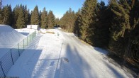 Archived image Webcam Cross-country ski run Rennsteig 09:00