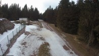 Archived image Webcam Cross-country ski run Rennsteig 15:00