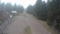 Archiv Foto Webcam Loipe am Rennsteig (Stein 16) 13:00