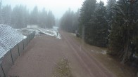 Archiv Foto Webcam Loipe am Rennsteig (Stein 16) 15:00