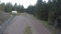 Archiv Foto Webcam Loipe am Rennsteig (Stein 16) 01:00