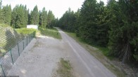 Archiv Foto Webcam Loipe am Rennsteig (Stein 16) 07:00