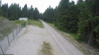 Archiv Foto Webcam Loipe am Rennsteig (Stein 16) 09:00