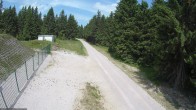 Archiv Foto Webcam Loipe am Rennsteig (Stein 16) 11:00