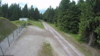 Archiv Foto Webcam Loipe am Rennsteig (Stein 16) 15:00