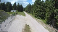 Archived image Webcam Cross-country ski run Rennsteig 13:00
