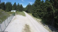 Archiv Foto Webcam Loipe am Rennsteig (Stein 16) 11:00