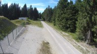 Archiv Foto Webcam Loipe am Rennsteig (Stein 16) 15:00