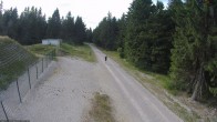 Archiv Foto Webcam Loipe am Rennsteig (Stein 16) 17:00