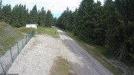 Archiv Foto Webcam Loipe am Rennsteig (Stein 16) 09:00