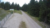 Archiv Foto Webcam Loipe am Rennsteig (Stein 16) 11:00