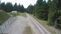 Archiv Foto Webcam Loipe am Rennsteig (Stein 16) 15:00