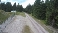 Archiv Foto Webcam Loipe am Rennsteig (Stein 16) 17:00