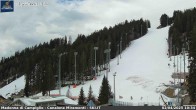 Archiv Foto Webcam Madonna di Campiglio: Weltcup Piste Canalone Miramonti 09:00