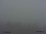 Archived image Webcam Sankt Englmar, Bavarian Forest 13:00