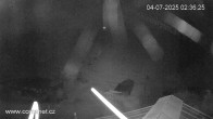 Archiv Foto Webcam Talstation Vrchlabí 01:00