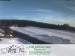 Archiv Foto Webcam Langlaufzentrum Finsterau: Blick auf die Loipen 08:00