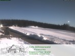 Archiv Foto Webcam Langlaufzentrum Finsterau: Blick auf die Loipen 08:00