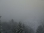 Archived image Webcam Gemmi 15:00