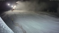 Archiv Foto Webcam Hesselbacher Gletscher: Talstation 03:00