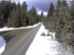 Archived image Webcam Cross-country Ski trail Flössweg 11:00