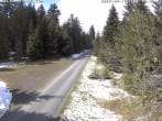 Archived image Webcam Cross-country Ski trail Flössweg 13:00