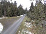 Archived image Webcam Cross-country Ski trail Flössweg 15:00