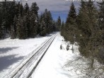 Archived image Webcam Cross-country Ski trail Flössweg 11:00