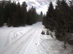 Archived image Webcam Cross-country Ski trail Flössweg 13:00