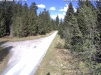 Archived image Webcam Cross-country Ski trail Flössweg 09:00