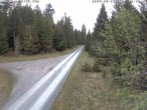 Archived image Webcam Cross-country Ski trail Flössweg 11:00