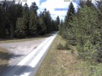 Archived image Webcam Cross-country Ski trail Flössweg 13:00