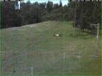 Archiv Foto Webcam Tellerlift Sebnitz 03:00