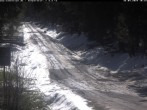 Archived image Webcam Cross-country ski track Weitersglashütte 09:00