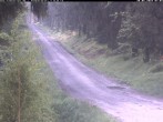 Archived image Webcam Cross-country ski track Weitersglashütte 06:00