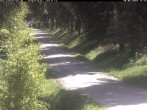 Archived image Webcam Cross-country ski track Weitersglashütte 11:00