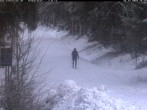 Archived image Webcam Cross-country ski track Weitersglashütte 15:00