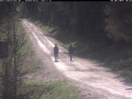 Archived image Webcam Cross-country ski track Weitersglashütte 09:00
