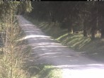 Archived image Webcam Cross-country ski track Weitersglashütte 13:00