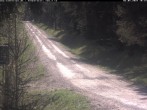 Archiv Foto Webcam Kammloipe Weitersglashütte 09:00