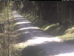 Archiv Foto Webcam Kammloipe Weitersglashütte 11:00