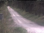 Archiv Foto Webcam Kammloipe Weitersglashütte 13:00
