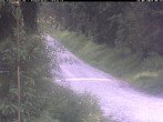 Archiv Foto Webcam Kammloipe Weitersglashütte 05:00